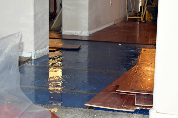 Professional Burst Pipe Cleanup technician working in Alexander, NC